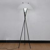 Contemporary Multi-Sphere Black Tripod Floor Lamp Image - 3