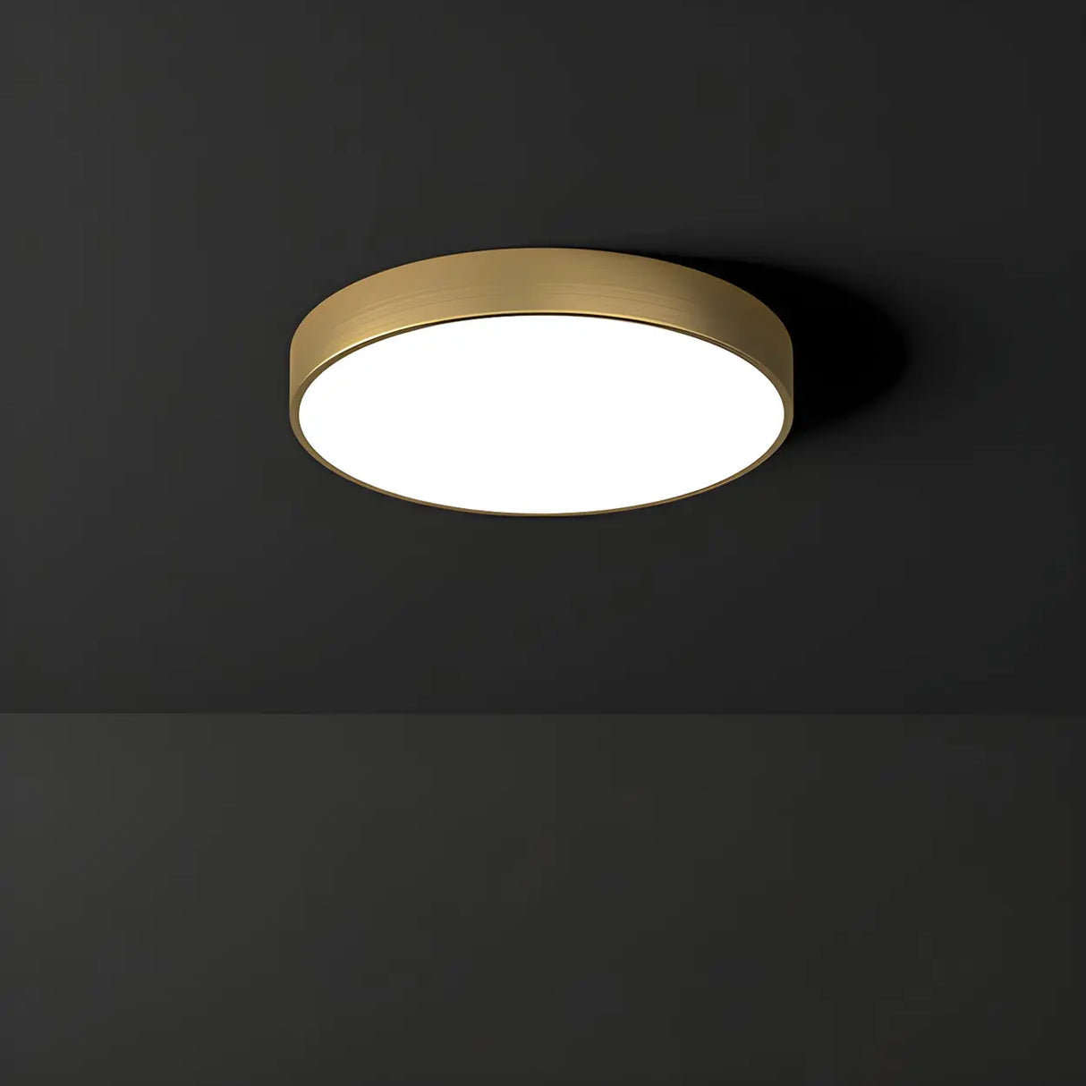 Corridor Gold Cylinder Flush Mount Ceiling Mount Light Image - 15