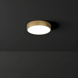 Corridor Gold Cylinder Flush Mount Ceiling Mount Light Image - 17