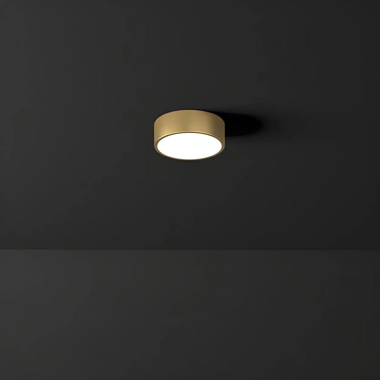 Corridor Gold Cylinder Flush Mount Ceiling Mount Light Image - 19