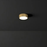 Corridor Gold Cylinder Flush Mount Ceiling Mount Light Image - 19