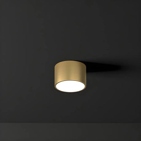 Corridor Gold Cylinder Flush Mount Ceiling Mount Light Image - 2