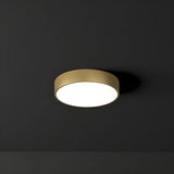 Corridor Gold Cylinder Flush Mount Ceiling Mount Light Image - 7