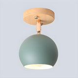 Corridor White Dome Adjustable Flush Mount Ceiling Lamp Image - 8