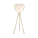 Creative Gold Heart Tripod Feather and Metal Floor Lamp Image - 2