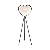 Creative Gold Heart Tripod Feather and Metal Floor Lamp Image - 7