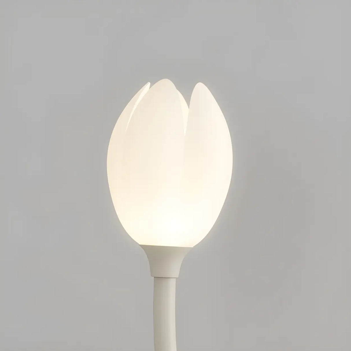 Decorative Dual White Flower Shade Metal Floor Lamp Image - 6