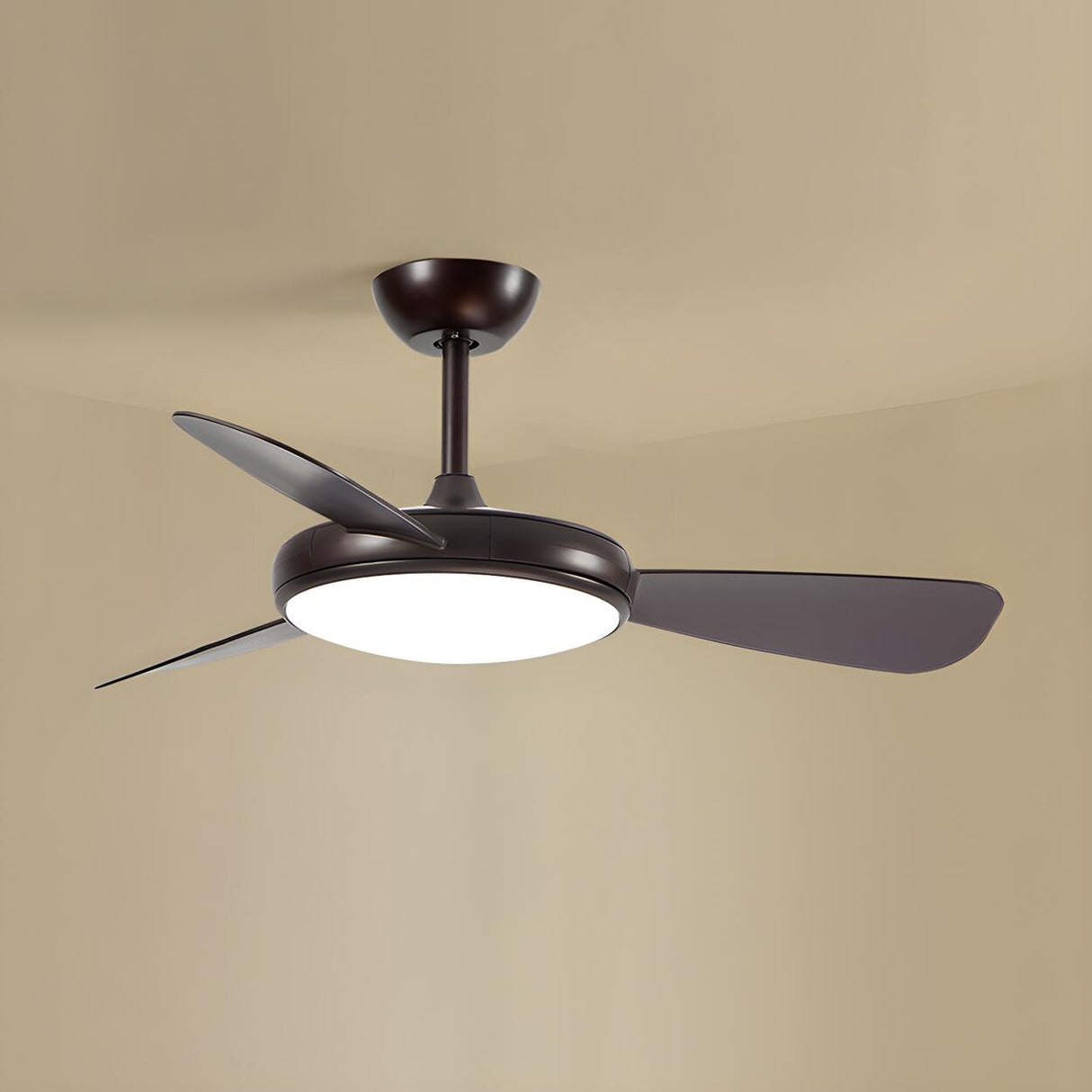 Dining Room Modern Simple Down Rod Ceiling Fan Light Image - 6