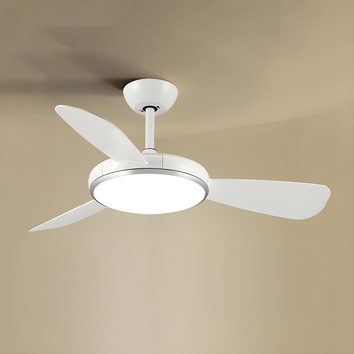 Dining Room Modern Simple Down Rod Ceiling Fan Light Image - 7