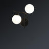 Elegant Black Dual-Globe Wall Light Fixture Image - 7