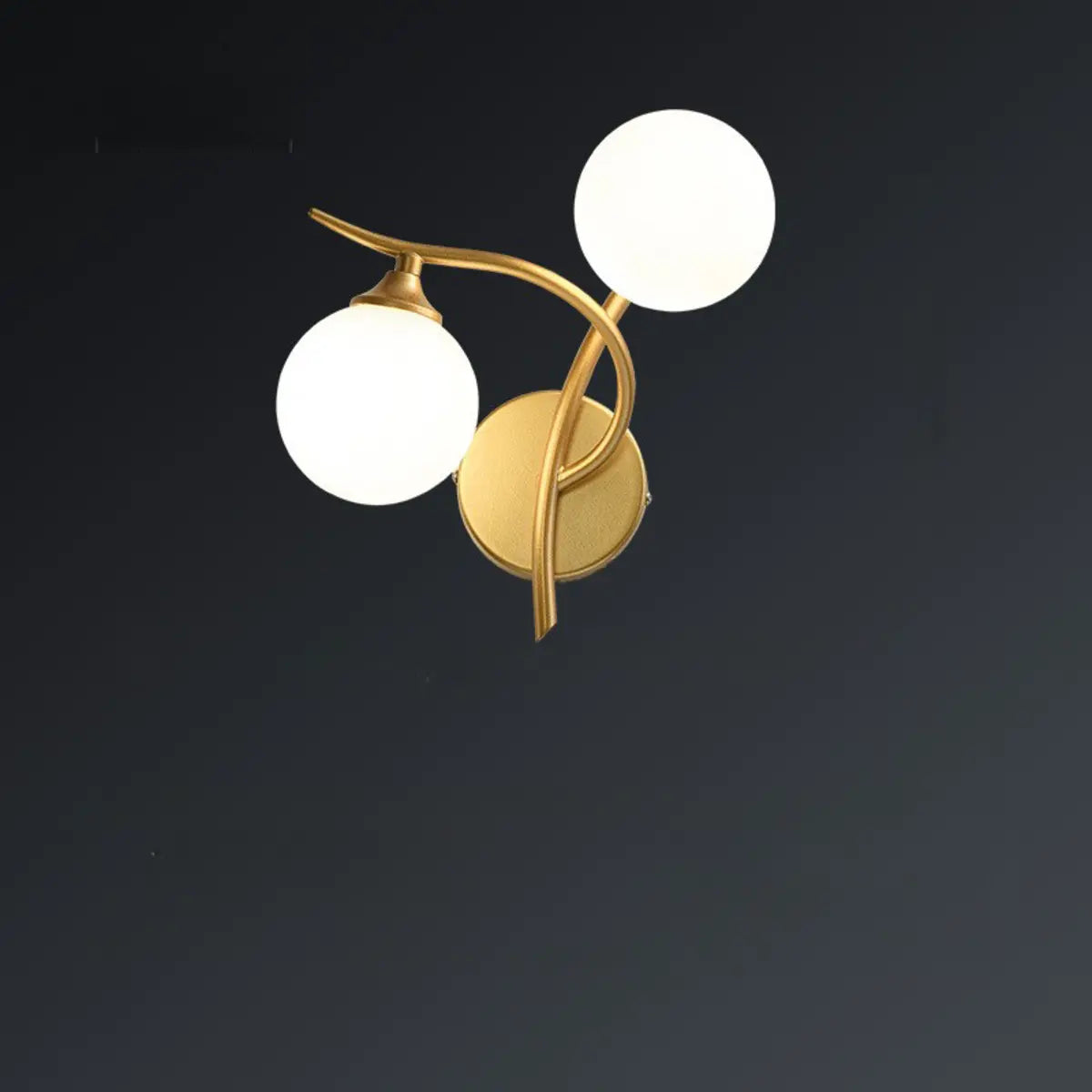 Elegant Black Dual-Globe Wall Light Fixture Image - 8