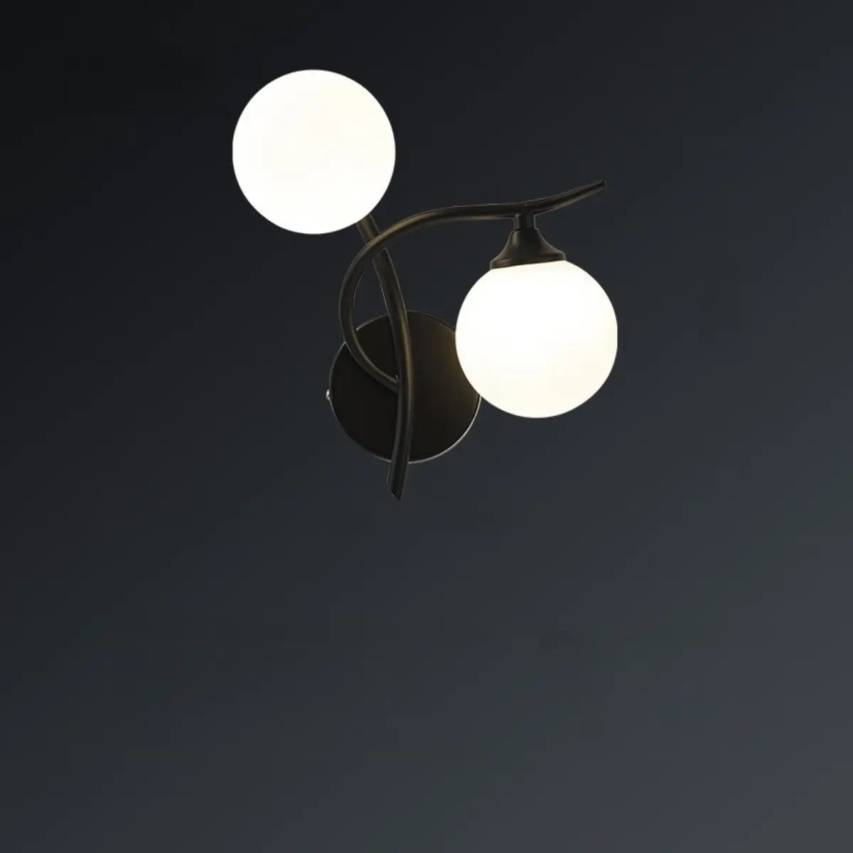 Elegant Black Dual-Globe Wall Light Fixture Image - 9