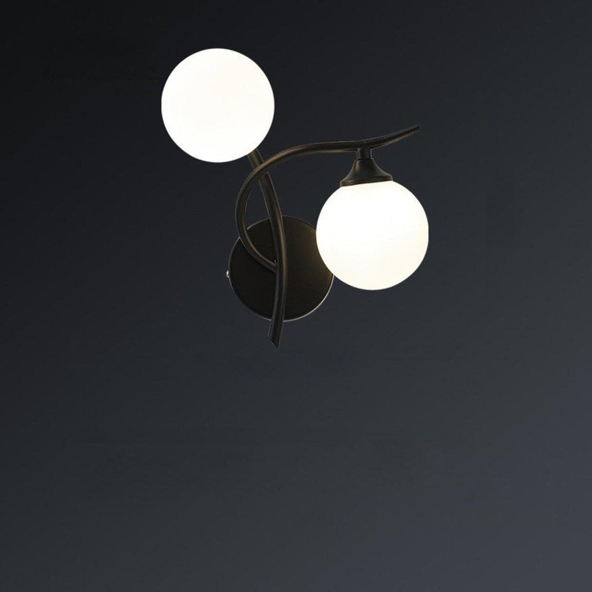 Elegant Black Dual-Globe Wall Light Fixture Image - 9