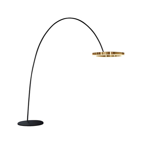 Elegant Circular LED Ring and Arched Floor Lamp Image - 2