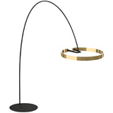 Elegant Circular LED Ring and Arched Floor Lamp Image - 7