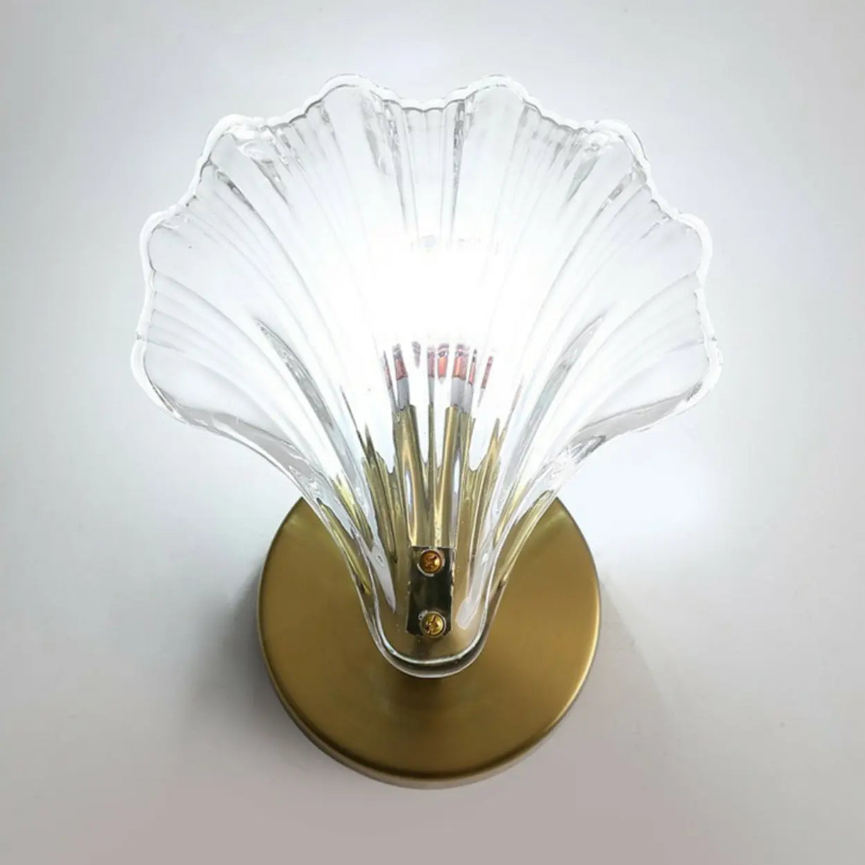 Elegant Modern Gold Shell Sconce Light Fixture Image - 11