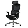 Ergonomic Mesh Lumbar Black Adjustable Office Chair Image - 5