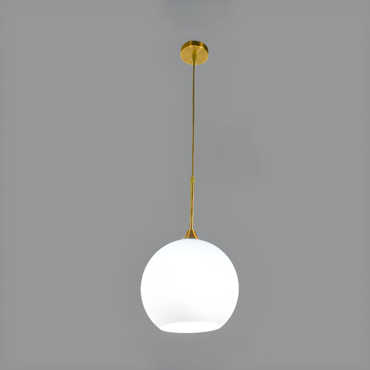 Flexible Length Modern Frosted Glass Globe Pendant Light Image - 2