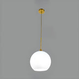 Flexible Length Modern Frosted Glass Globe Pendant Light Image - 2