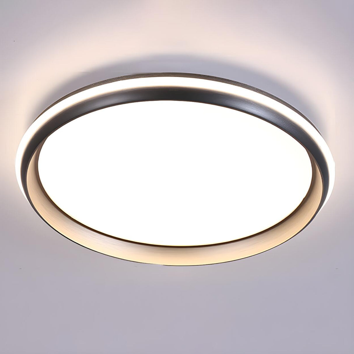 Foyer Black Round Metal LED Flush Mount Ceiling Light Image - 5