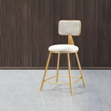 Grey Modern Gold Iron Velvet Tall Bar Stool with Cushion Image - 17