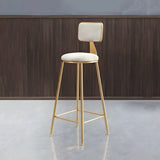 Grey Modern Gold Iron Velvet Tall Bar Stool with Cushion Image - 31