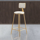 Grey Modern Gold Iron Velvet Tall Bar Stool with Cushion Image - 48