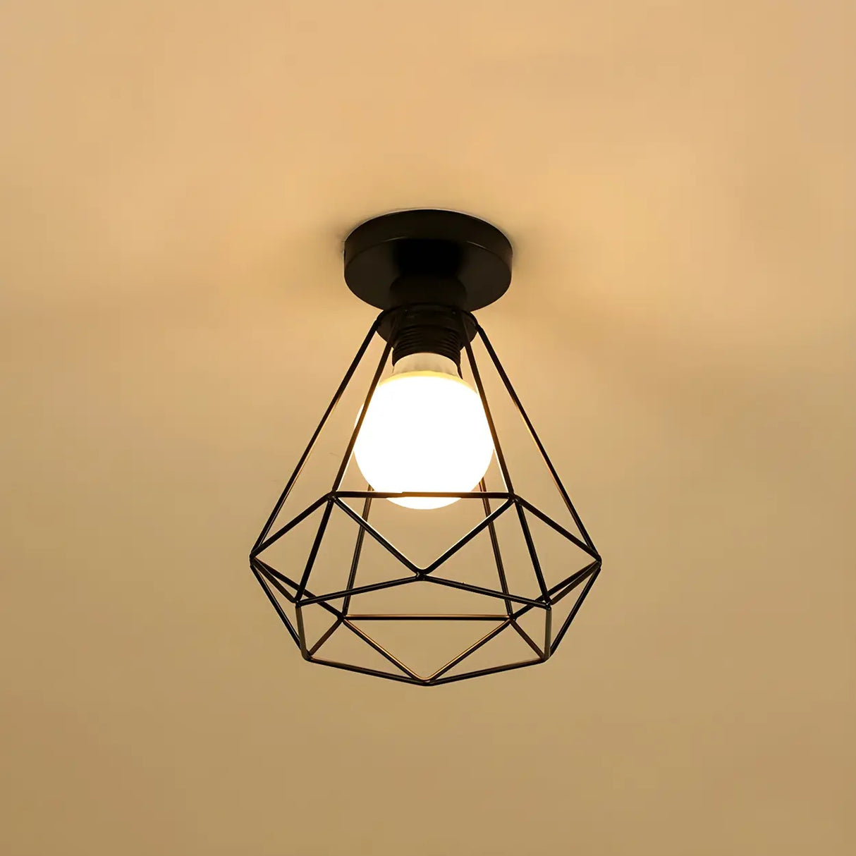 Hallway Black Iron Globe Flush Mount Ceiling Light Image - 17