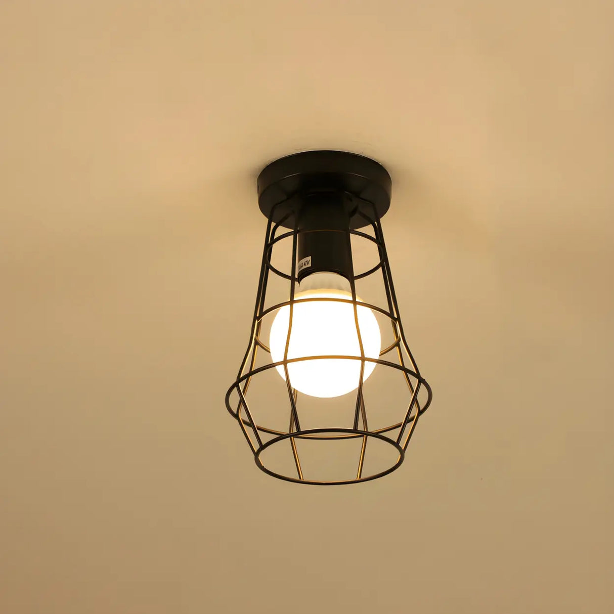 Hallway Black Iron Globe Flush Mount Ceiling Light Image - 20