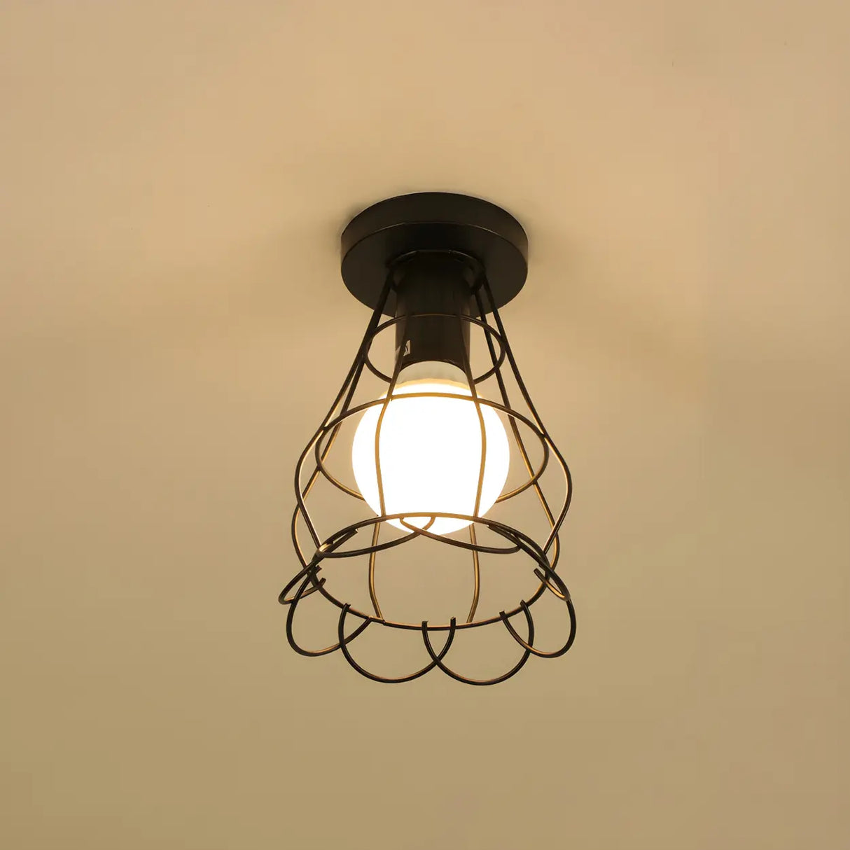 Hallway Black Iron Globe Flush Mount Ceiling Light Image - 21