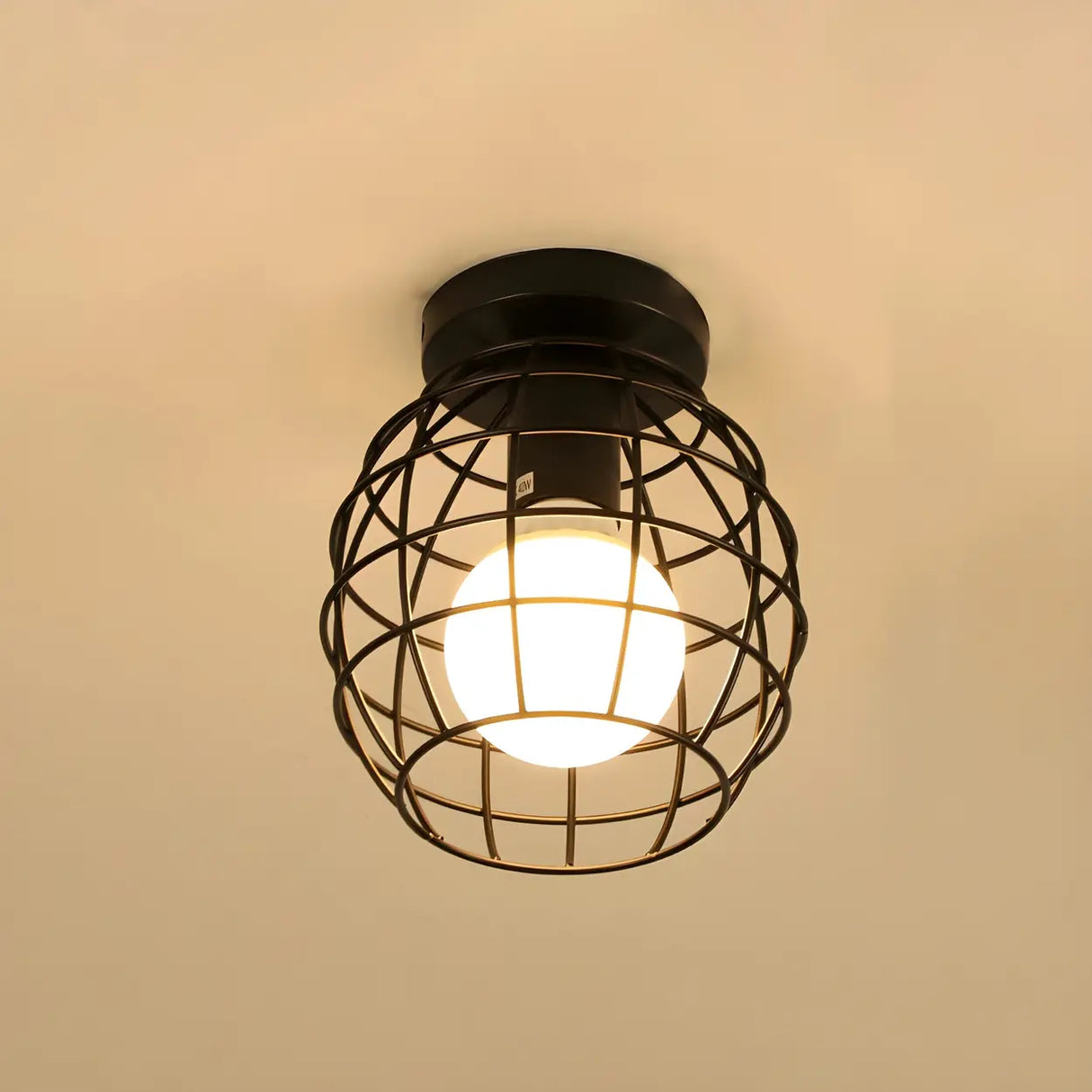 Hallway Black Iron Globe Flush Mount Ceiling Light Image - 22