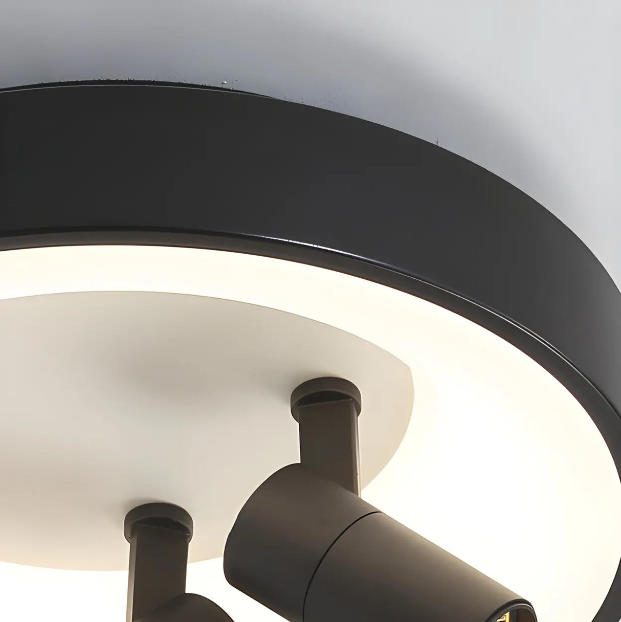 Hallway Black Round Adjustable Flush Mount Ceiling Lamp Image - 14