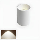 Hallway Black-White Cylinder LED Flush Mount Light Image - 11