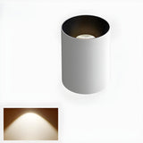 Hallway Black-White Cylinder LED Flush Mount Light Image - 13