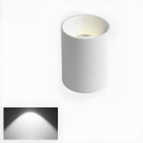 Hallway Black-White Cylinder LED Flush Mount Light Image - 9