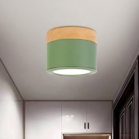 Hallway Green Cylinder LED Flush Mount Ceiling Light Image - 1