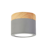 Hallway Green Cylinder LED Flush Mount Ceiling Light Image - 11