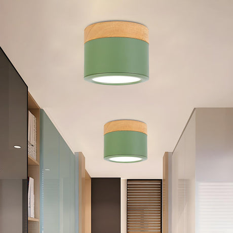 Hallway Green Cylinder LED Flush Mount Ceiling Light Image - 2