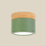 Hallway Green Cylinder LED Flush Mount Ceiling Light Image - 4