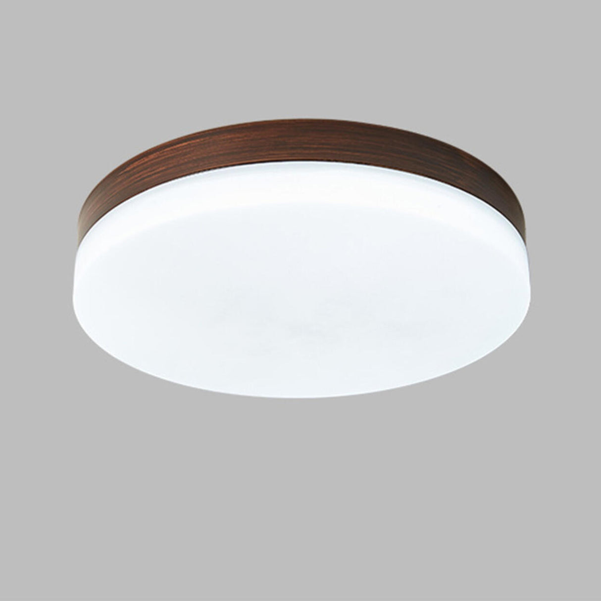 Hallway Simple Round LED Flush Mount Ceiling Light Image - 2