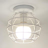 Industrial Aisle Black Globe Cage Flush Mount Light Image - 3