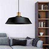 Industrial Black Metal Barn Living Room Pendant Light Image - 1