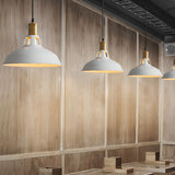 Industrial Brass Metal Round Vaulted Pendant Light Image - 2