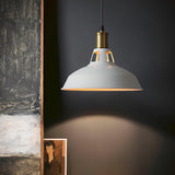 Industrial Brass Metal Round Vaulted Pendant Light Image - 4