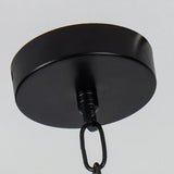 Industrial Cage and Chain Suspension Island Light Image - 11