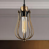 Industrial Cage Metal Edison Bulb Dining Room Pendant Light Image - 2