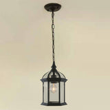 Industrial Chain Cage Outdoor Black Lantern Pendant Light Image - 1