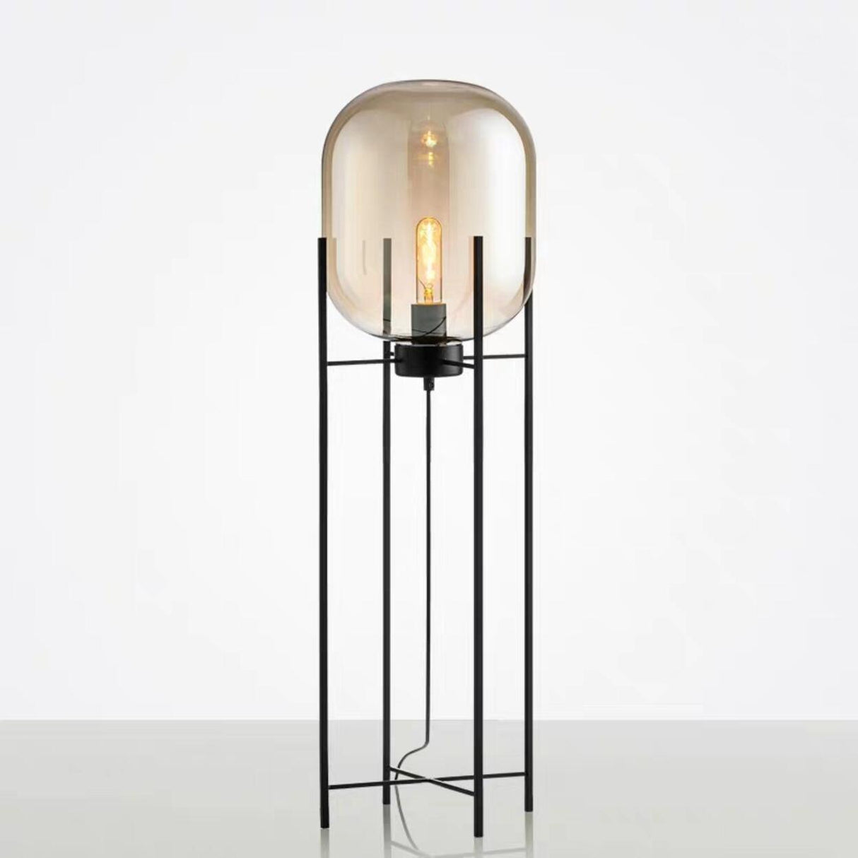 Industrial Glass Dome Black Metal Frame Floor Lamp Image - 12