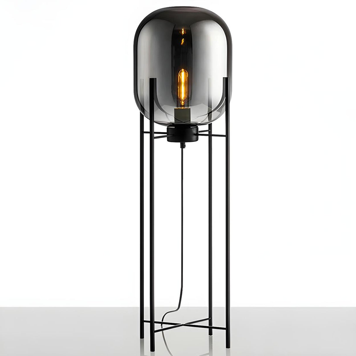 Industrial Glass Dome Black Metal Frame Floor Lamp Image - 13