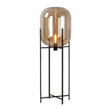 Industrial Glass Dome Black Metal Frame Floor Lamp Image - 14